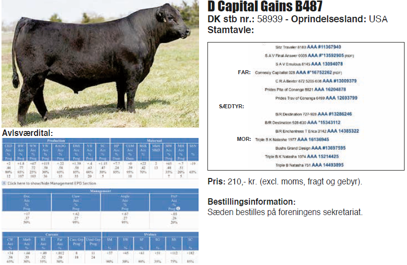 D Capital Gains B487 er en amerikansk tyr som er avlet ved Dikoff Angus
Ranch i South Dakota og som i dag er ejet af avlsselskabet Select Sires Inc.
Capital Gains er brugt i Danmark og Finland og har derfor acceptable
sikkerheder for sine tal i de fælles nordiske beregninger i NAV. På
egenskaber har tyren sine klare fordele på vækst og slagteform, men også
mælke indekset er højt og med gode sikkerheder på disse egenskaber.
Leder man efter en tyr som kan booste tidlig og hurtig tilvækst uden at
risikere og øge størrelsen på sine køer, kan Capital Gains være et
fornuftigt valg. Tyrens amerikanske avlsværdital er også gode på tilvækst.
Dog er fødselsindekset i USA en smule bedre end i NAV og står også med
en højere sikkerhed.
 Tidlig og hurtig tilvækst
 Gode slagteegenskaber
 Middelstørrelse udvokset
 Testet fri for alle genetiske defekter
Tyrens egnen vægt:
Fødsel – 36 kg 200 dagsvægt – 365 kg 365 dagsvægt – 625 kg