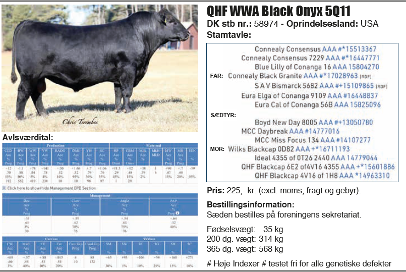 QHF WWA Black Onyx 5Q11 er en amerikansk tyr som er avlet hos
Quakerhill Farms i Virgina og er ejet af genetikvirksomheden ST Genetics.
Black Onyx er en af de meget få tyre som hvor både vækst, fødsel ligger
meget højt i avlsværdiberegningerne. Det er kun i yderst få tilfælde at en
tyr kan levere lave fødselsvægte samtidig med høj tilvækst i sit afkom. Det
skyldes at disse to egenskabers gener ikke rent biologisk er forbundet og
derfor normalt vil modvirke hinanden – men altså ikke i dette tilfælde.
Både de nordiske tal og tyrens tal i USA fortæller det samme. Onyx er kort
fortalt tyren som springer positivt ud på alle egenskaber.
 Lav fødselsvægt
 Høj tilvækst
 Kan bruges på kvier
 Testet fri for alle genetiske defekter
Tyrens egne vægte:
Fødsel - 35 kg 200 dagsvægt – 314 kg 365 dagsvægt – 568 kg